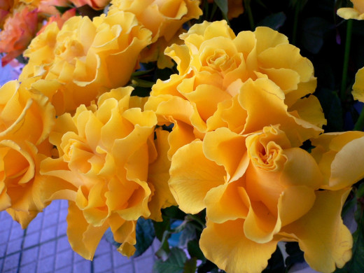 540389 (a): :1600x1200